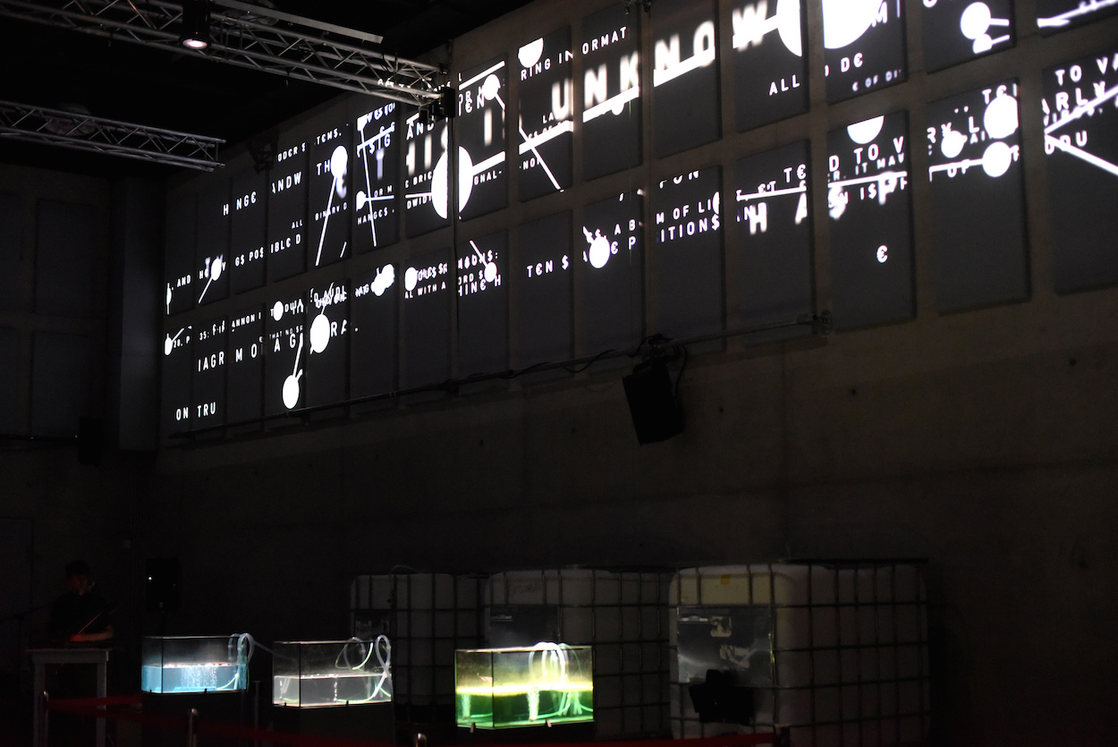 ENTROPY_Installation.jpg ENTROPY_Installation.jpg