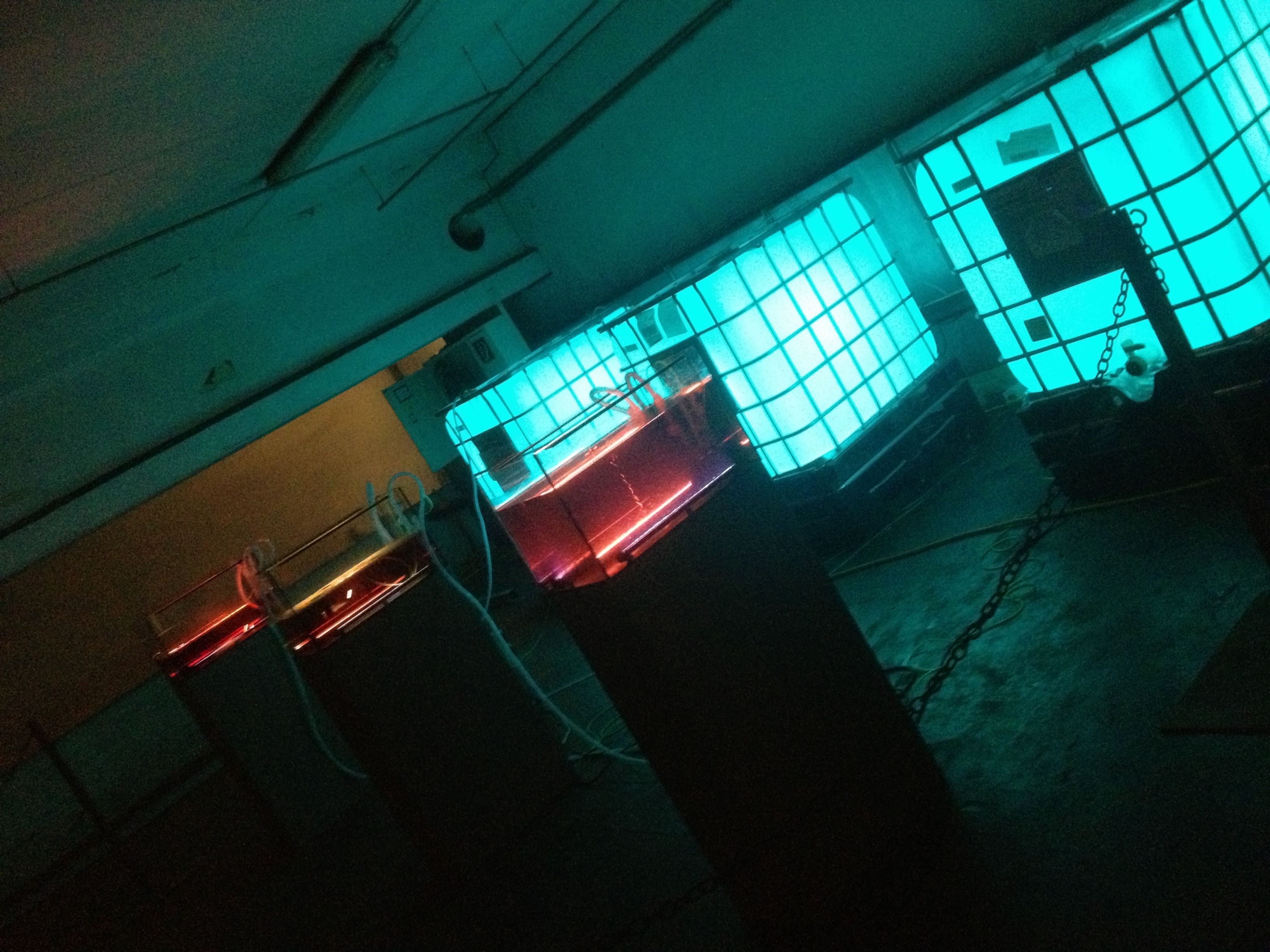 IMG_5457.jpg IMG_5457.jpg