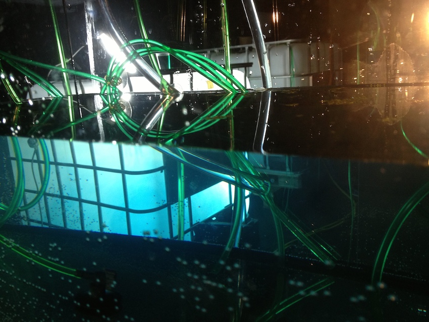 ENTROPY_Container_WEB2.jpg ENTROPY_Container_WEB2.jpg