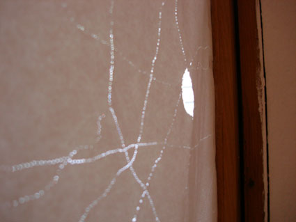24.tag5 - 1318048.1