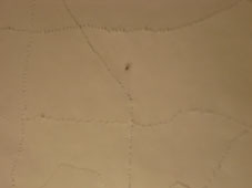 28.tag3 - 1321321.1