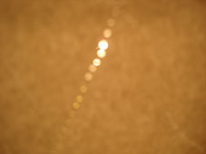 47.tag4 - 1331346.1 47.tag4 - 1331346.1