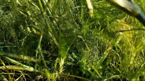 HABITAT_LAB(c)Margareta Haugwourth.jpg HABITAT_LAB(c)Margareta Haugwourth.jpg