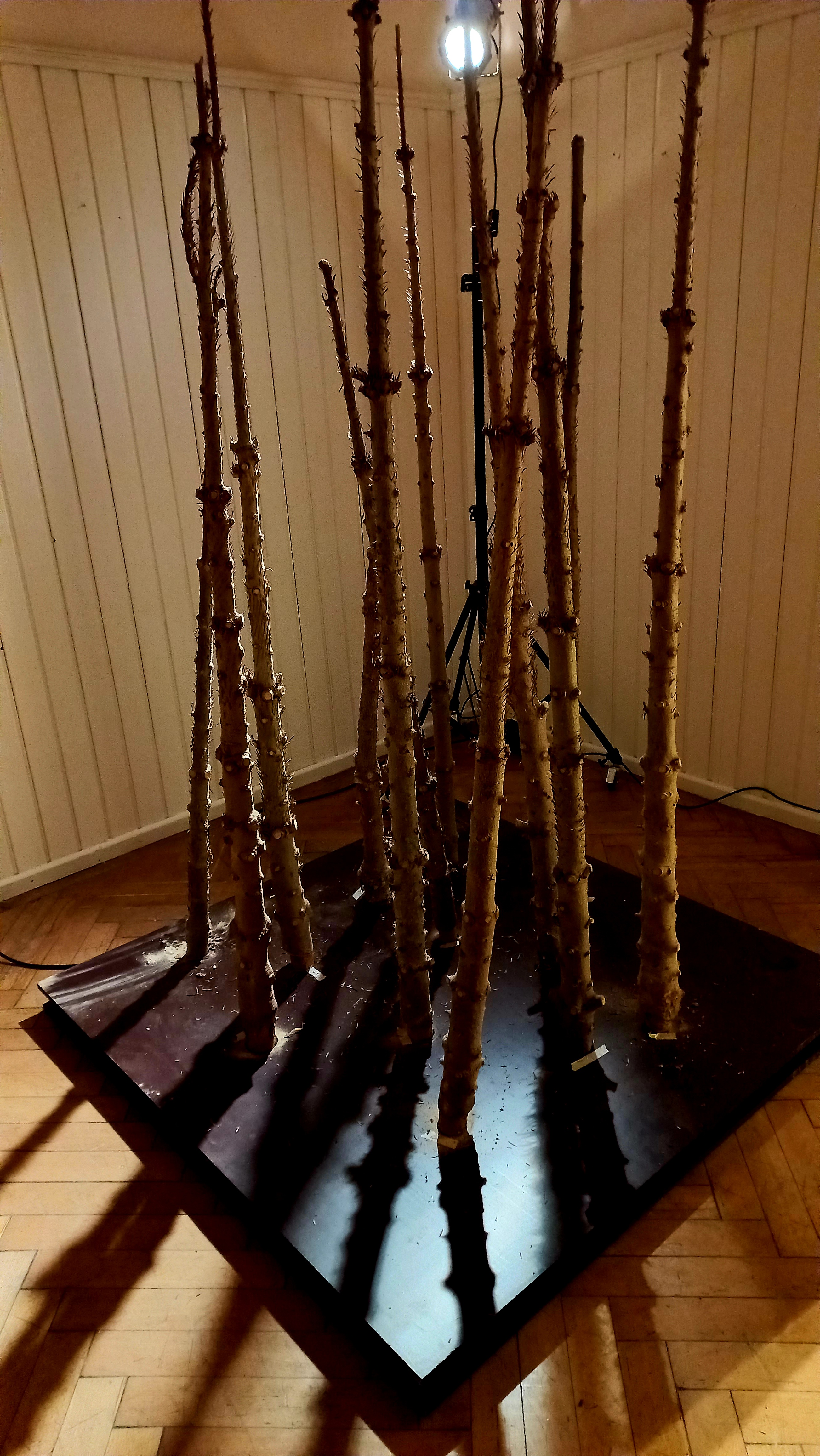 DAS ERBE_20260106.jpg DAS ERBE_20260106.jpg