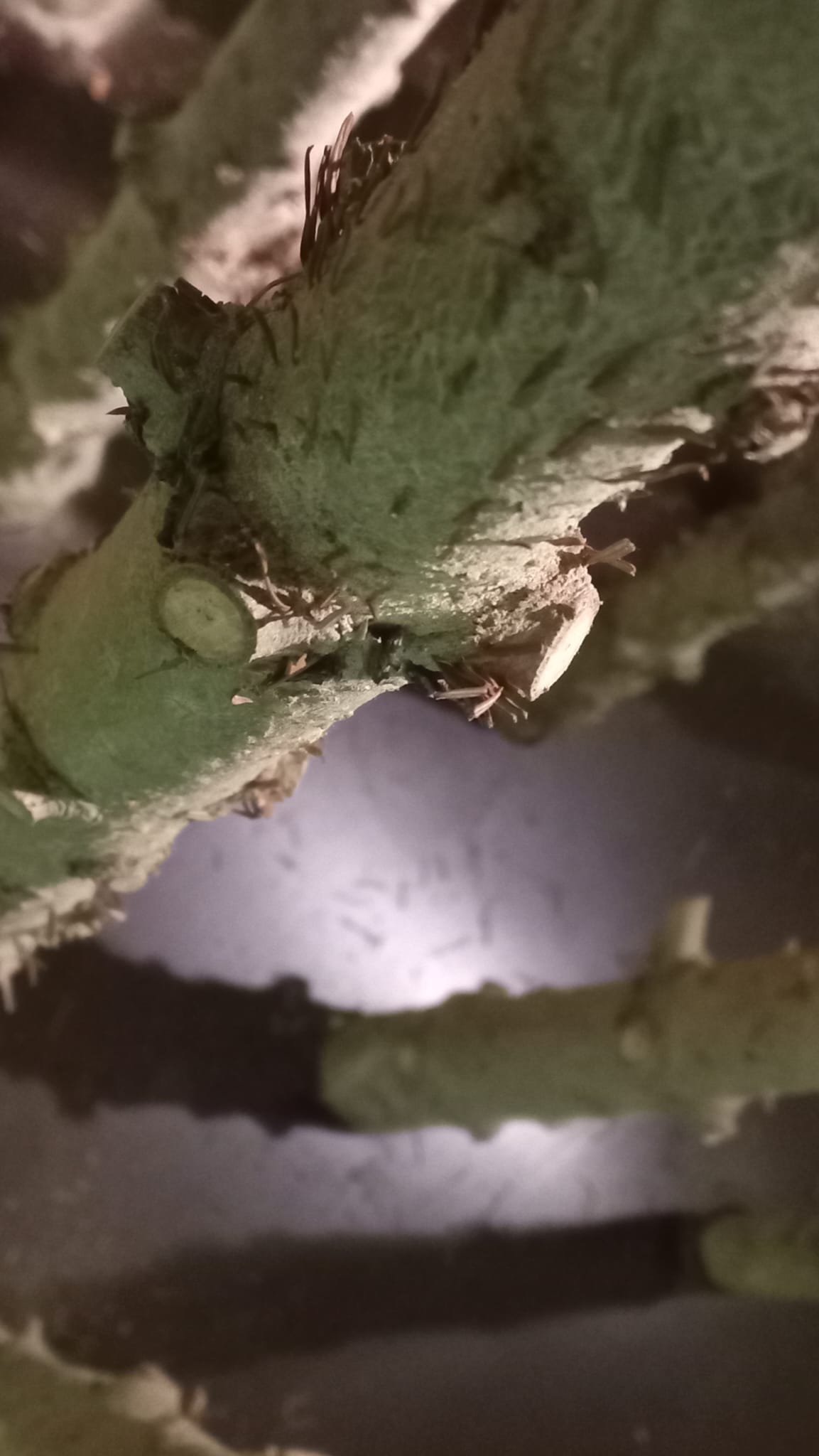 District_1.jpeg District_1.jpeg