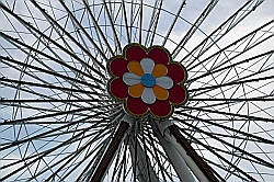 Information and News - 221187.1