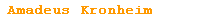 amadeus kronheim_orange - 253276.2 amadeus kronheim_orange - 253276.2